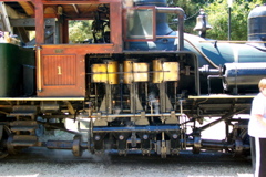 Roaring Camp Railroad - 9