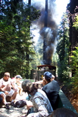 Roaring Camp Railroad - 3