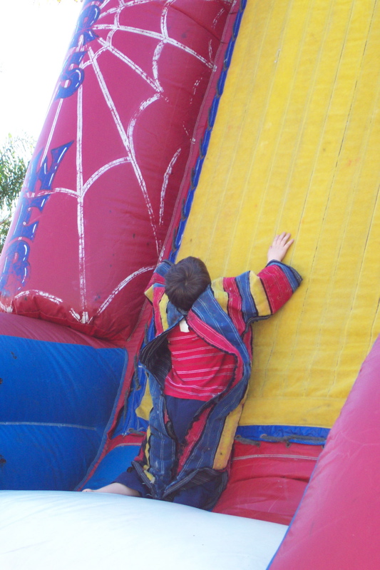 Jumping up the Spider Web