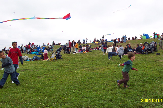 Kite Festival - 6