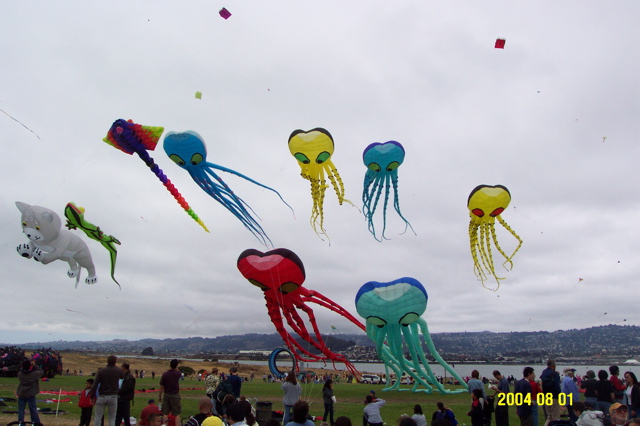 Kite Festival - 1