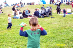 Kite Festival - 4