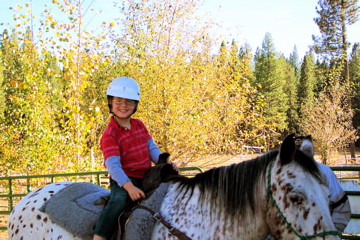 Horseback Riding in Portola - 1