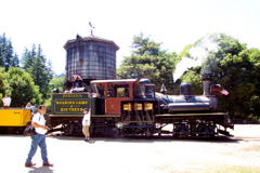Roaring Camp Railroad - 8