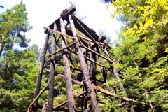 Roaring Camp Railroad - 7