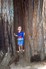 Roaring Camp Railroad - 5