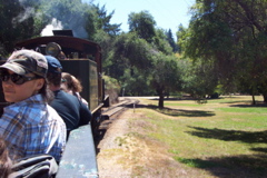 Roaring Camp Railroad - 2