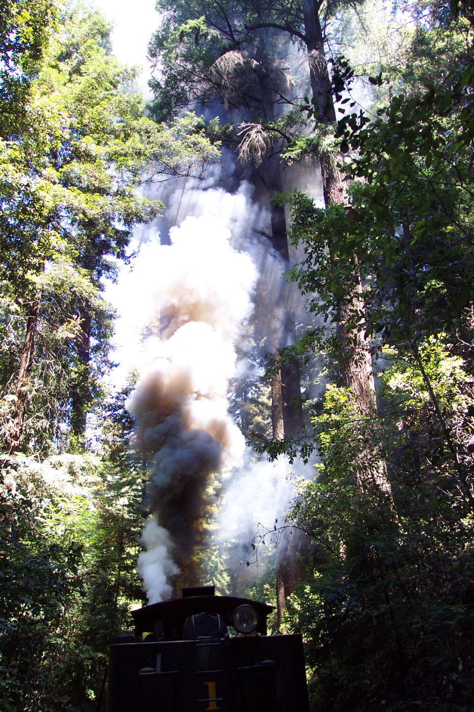 Roaring Camp Railroad - 2