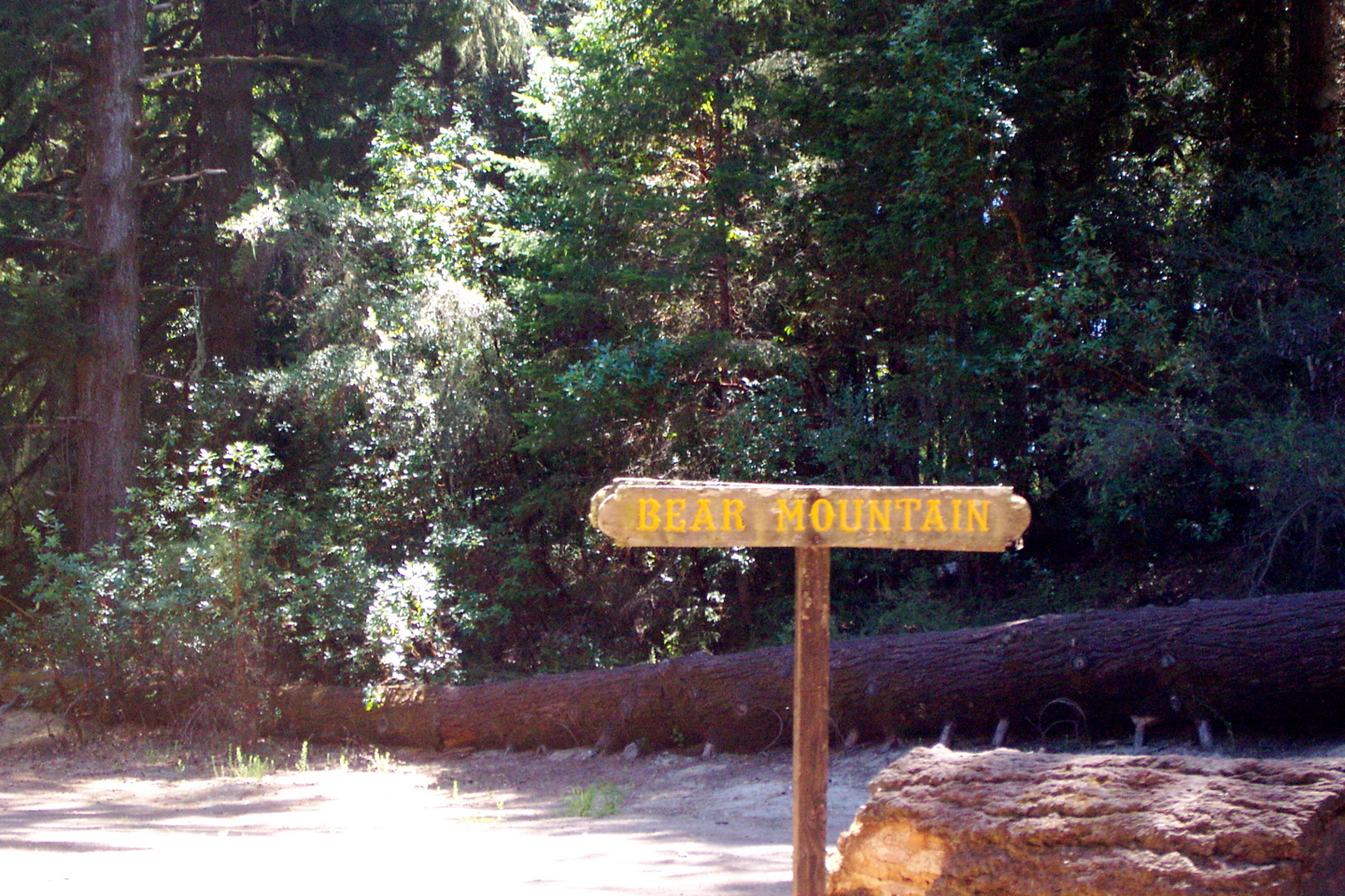 Roaring Camp Railroad - 7