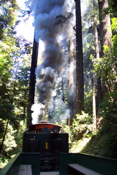 Roaring Camp Railroad - 1