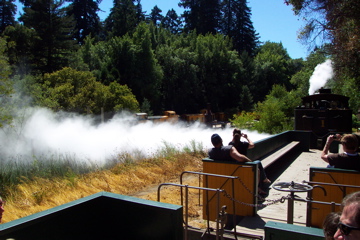 Roaring Camp Railroad - 10